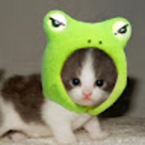 Meet your Posher, Myla